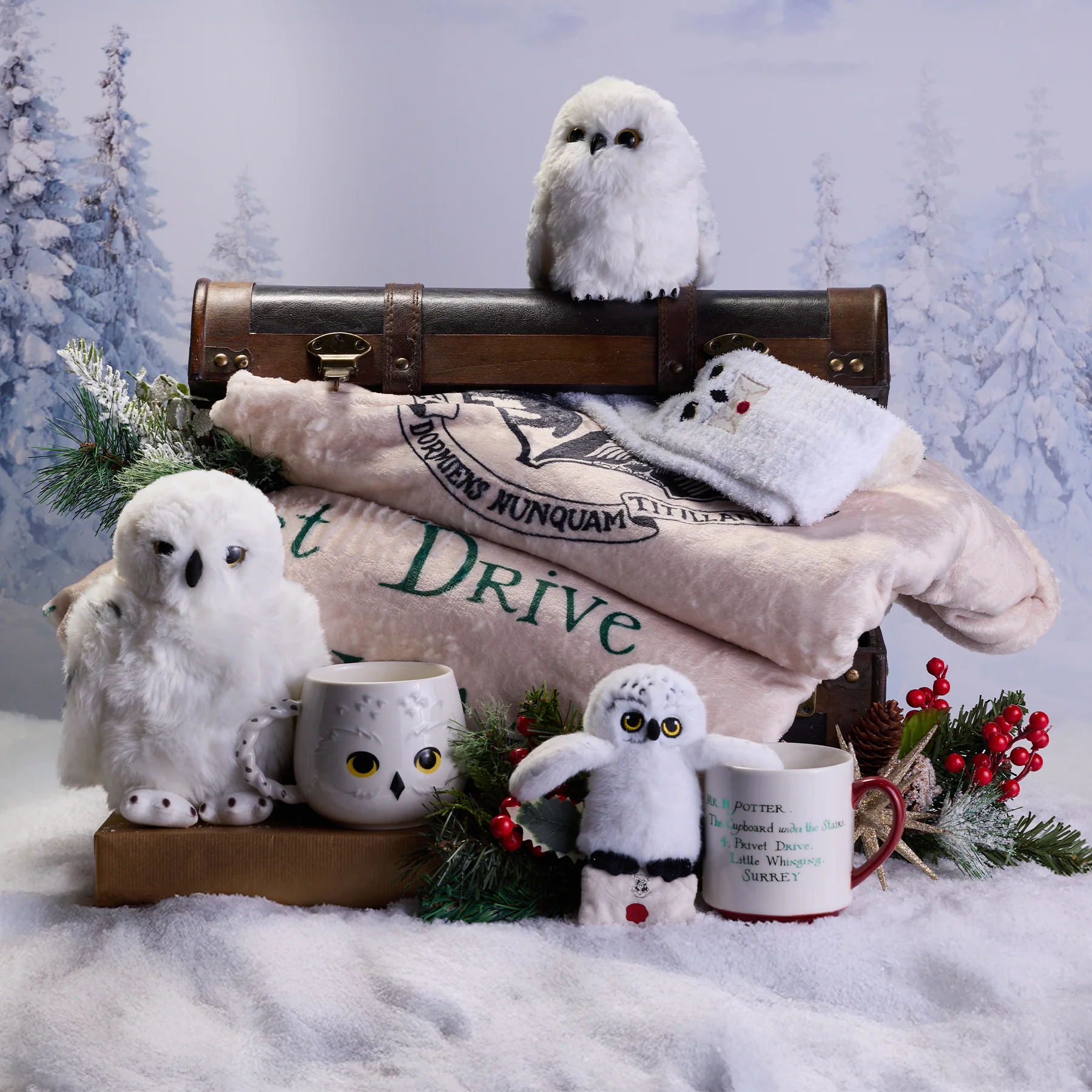 Hedwig Cosy Mug - Image 3
