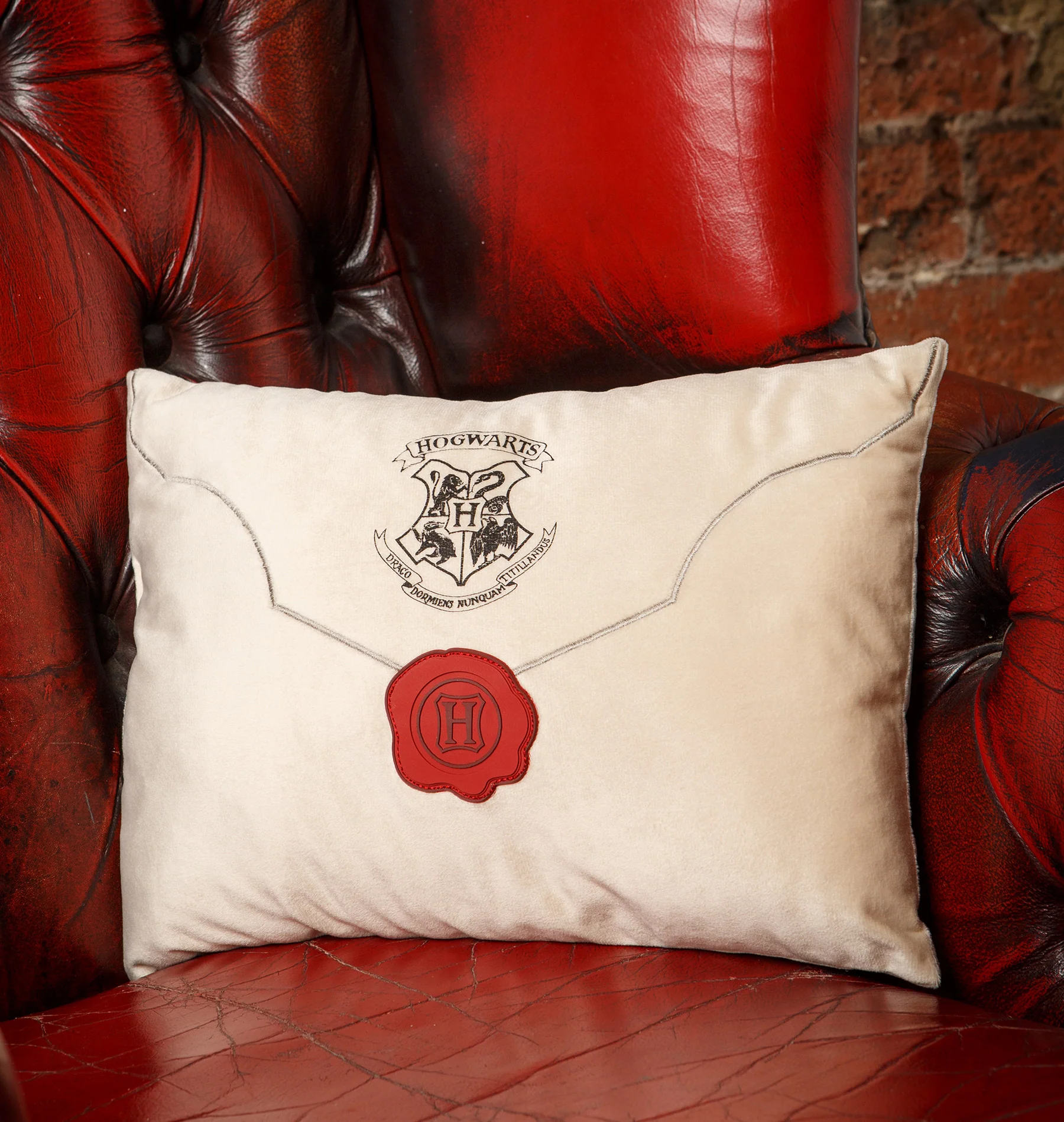 Hogwarts Express Acceptance Letter Cushion - Image 4